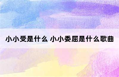 小小受是什么 小小委屈是什么歌曲